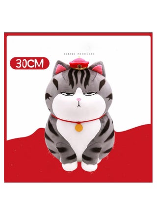 Cute Cat Stuffed Animal Doll Plush Hugging Toy(30cm) - pzsku/ZA24779FEF4B17E49D59CZ/45/_/1659957972/b0c797ad-aa1b-4744-9af0-ea293545b37b