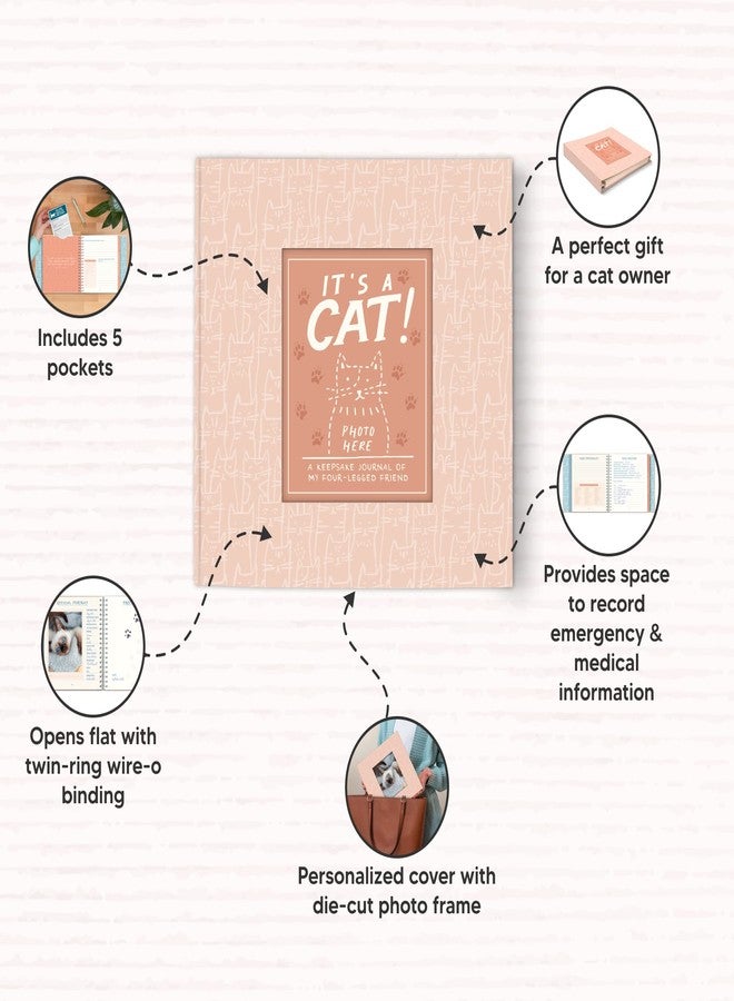 Studio Oh! It's a Cat! Guided Pet Journal – 104 Pages, Hardcover Journal with Photo Frame Cover, 5 Divider Pockets, Lay-Flat Design, 120 GSM Paper for Cat Owners, Journaling & Reflection - Image 5