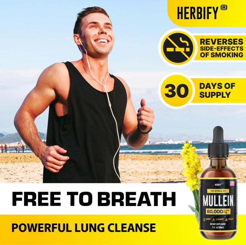 HERBIFY مستخلص المولين من هيربيفي 2 أونصة لعلاج صحة الجهاز التنفسي، مزيج من أوراق وزهور المولين (Verbascum Densiflorum) - Image 2