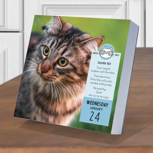 TF PUBLISHING 2024 Cat A Day Daily Desktop Calendar | Home and Office Organization | Over 300 Full-Color Easy Tear-Off Pages | Attached Fold-Out Cardboard Easel for Desks | 5.25” x 5.25” - Image 4