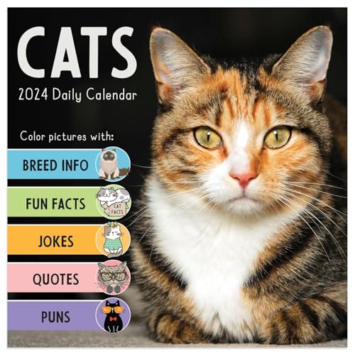 TF PUBLISHING 2024 Cat A Day Daily Desktop Calendar | Home and Office Organization | Over 300 Full-Color Easy Tear-Off Pages | Attached Fold-Out Cardboard Easel for Desks | 5.25” x 5.25” - Image 1