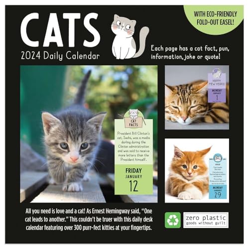 TF PUBLISHING 2024 Cat A Day Daily Desktop Calendar | Home and Office Organization | Over 300 Full-Color Easy Tear-Off Pages | Attached Fold-Out Cardboard Easel for Desks | 5.25” x 5.25” - Image 2