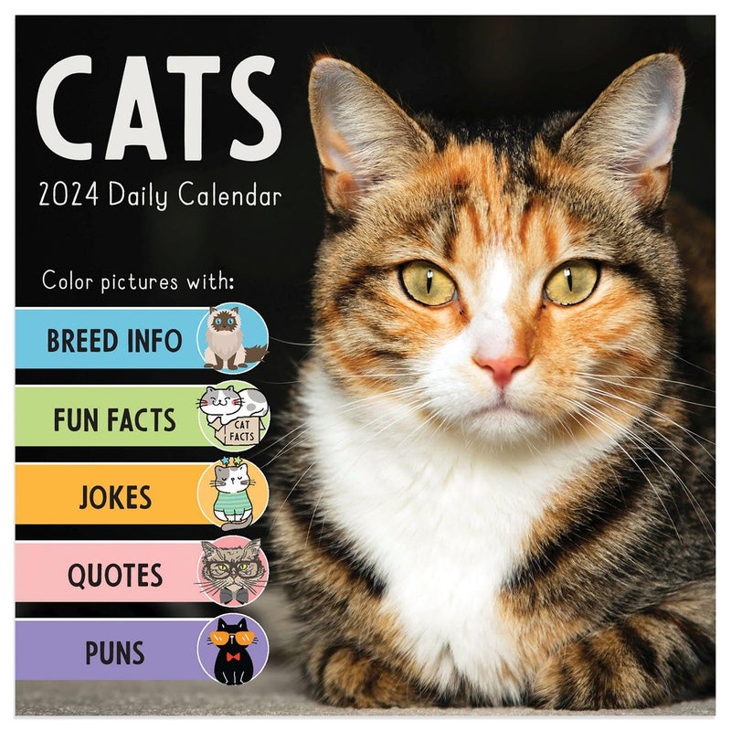 TF PUBLISHING 2024 Cat A Day Daily Desktop Calendar | Home and Office Organization | Over 300 Full-Color Easy Tear-Off Pages | Attached Fold-Out Cardboard Easel for Desks | 5.25” x 5.25” - Image 5