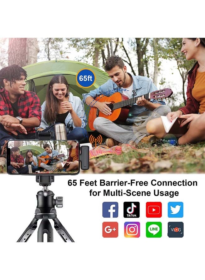 Wireless Lavalier Microphone, Phone Lapel Mic for YouTube Video Recording Interview Tiktok Vlog Live Streaming, 3 Levels Noise Reduction, Plug-in