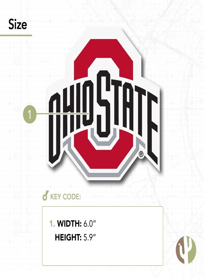 ديزرت كاكتوس ملصق فينيل على شكل صبار صحراوي، شعار جامعة ولاية أوهايو (OSU Buckeyes)، مناسب لأجهزة الكمبيوتر المحمولة، زجاجات المياه، السيارات، ودفاتر القصاصات (IND 123) - Image 3