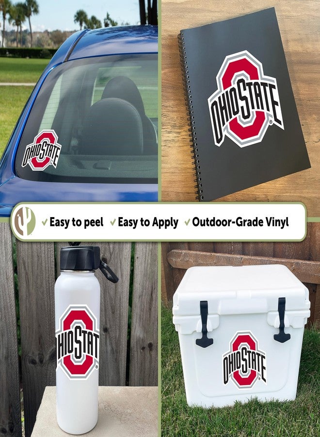 ديزرت كاكتوس ملصق فينيل على شكل صبار صحراوي، شعار جامعة ولاية أوهايو (OSU Buckeyes)، مناسب لأجهزة الكمبيوتر المحمولة، زجاجات المياه، السيارات، ودفاتر القصاصات (IND 123) - Image 2