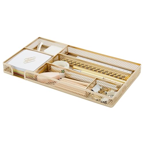 Annova Desk Drawer Organizer Tray for Office Organization - Metal Mesh - Storage Tray with Dividers for Pens, Desktop Accessories, Bathroom, Kitchen, Makeup and Office Supplies (Small, Gold) - Image 1