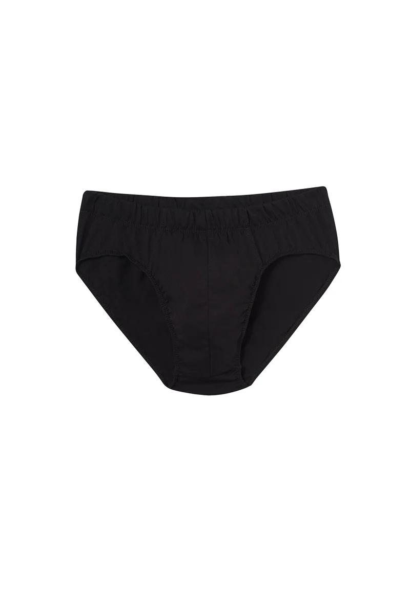 2 Pack Regular/Classic Fit Briefs Cotton Underwear