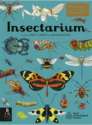 Insectarium - pzsku/ZA24C0A5F05117D9C64DFZ/45/_/1734526043/94b56e60-64c6-47bc-98b1-9a5d83bd92a1