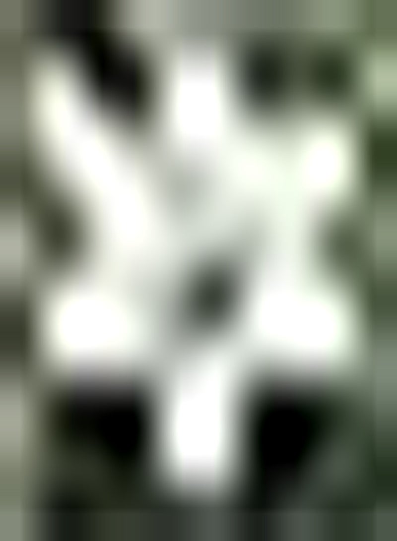 GGOOT 2Stück Amaryllis Zwiebeln in gemischten Farben Heimdekoration ziehen Bienen Schmetterlinge an und schaffen eine einzigartige künstlerische Landschaft die für jeden geeignet ist der wartungsarm - Image 1