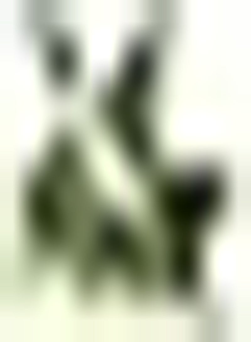 GGOOT 400pcs Sage Seeds Non GMO Heirloom Herb Seeds for Planting Suitable for Beginners Novice Gardeners DIY Garden Craft Art Decoration - Image 1