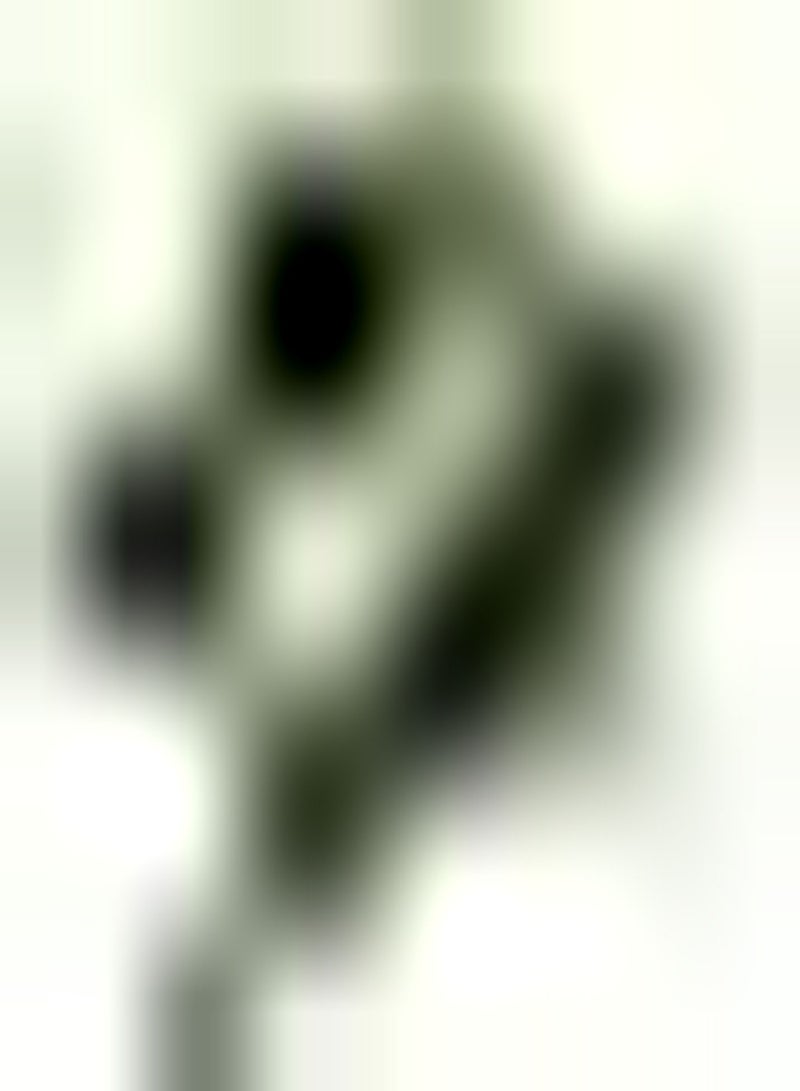 GGOOT 400pcs Sage Seeds Non GMO Heirloom Herb Seeds for Planting Suitable for Beginners Novice Gardeners DIY Garden Craft Art Decoration - Image 2