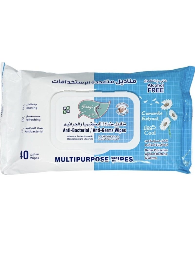 Alarays Anti Bacterial And Anti Germs Wipes 40 Wipes Cool