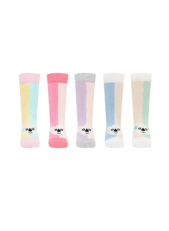 Bonjour Poochie Baby Kids Socks for Infants Pack of 5 - Image 4