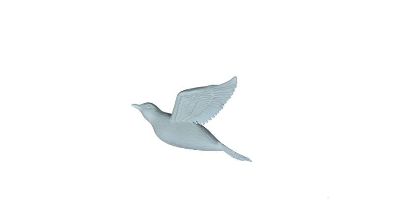 QUANTUM LEGENDS Set of 3 Flying Birds 3D Wall Art | Elegant Wall Hanging Decor | Perfect for Bird Lovers and Art Enthusiasts (white) - Image 3