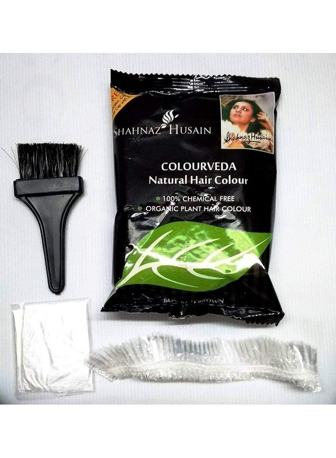Shahnaz Husain Colourveda Herbal Ayurvedic Natural Hair Color Latest International Packaging (3.5 Oz / 100 G) - Image 3