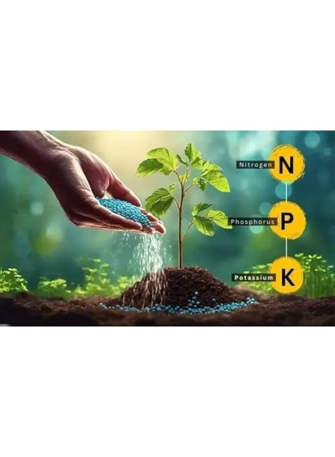 إكسبرس زون سماد إكسبرس زون NPK 12-12-17 وزن 1 كغ لجميع النباتات الداخلية والخارجية - Image 3