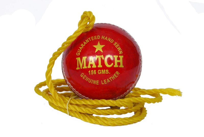 PSE Priya Sports Red Leather Hanging Ball - Image 2