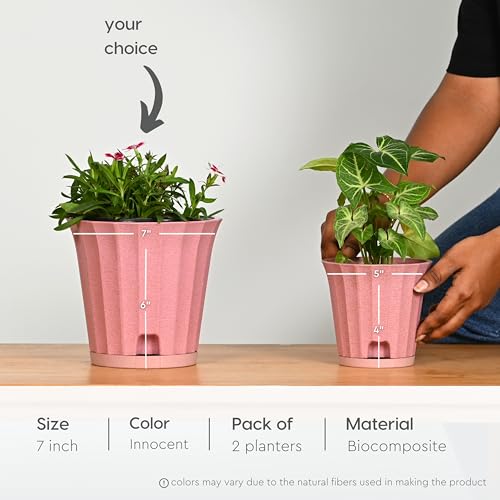Eha Earth Friendly Ace 7 inch Small Self Watering Pots for Indoor Plants | Set of 2 | Plant Pot Made with Bamboo Fibers | Table Top Planters for Home Decor, Flower Pot for Living Room | Innocent - Image 2