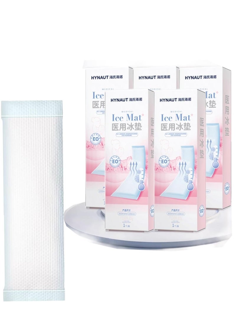 Day Wins 2-in-1 Postpartum Absorbent Frida Mom Postpartum Perineal Ice Maxi Pads | Instant Cold Therapy Packs and Absorbent Maternity Pad in One Ready-to-use Padsicle for After Birth（5 pack) - Image 1