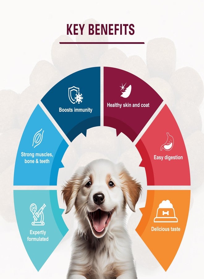 VIBRANT DOG ® - Puppy 4KG (Chicken | Egg | Pumpkin) |Dog Dry Food |PET Food - Image 4