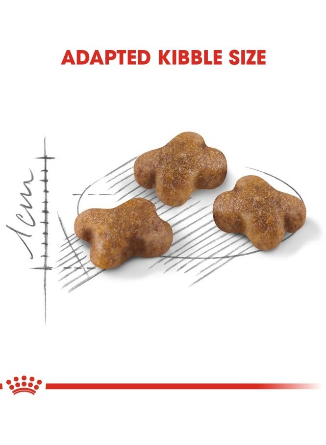 رويال كانين مجموعة تغذية صحة القطط: 10 كجم - Image 5