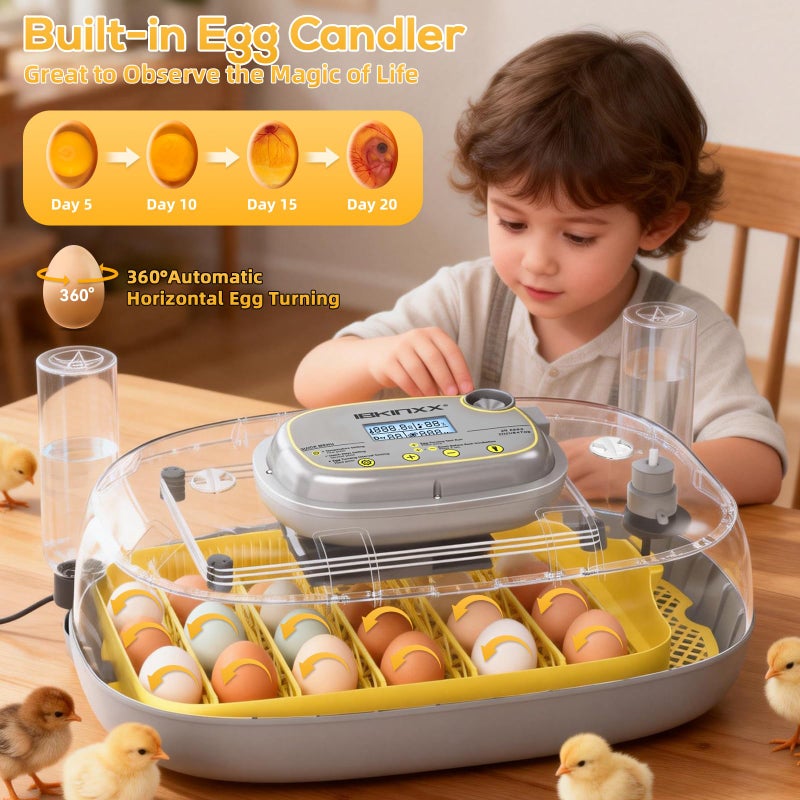 IBKINXX Incubator for Hatching Eggs-24 Egg Capacity, Automatic Egg Turner, Temperature & Humidity Control, 360Â° Viewing for Chicken, Duck and Quail Eggs - Image 2