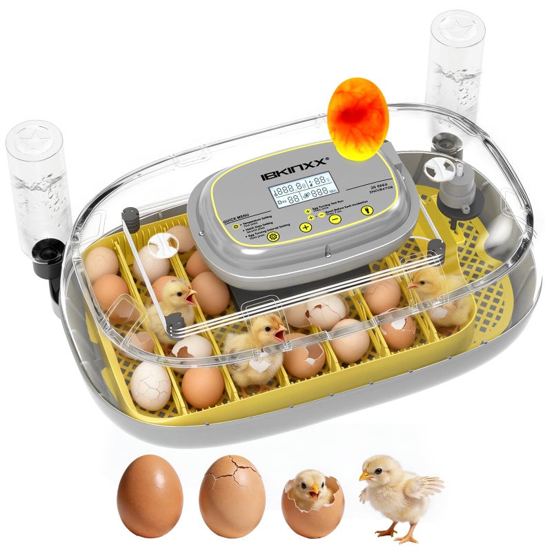 IBKINXX Incubator for Hatching Eggs-24 Egg Capacity, Automatic Egg Turner, Temperature & Humidity Control, 360Â° Viewing for Chicken, Duck and Quail Eggs - Image 1