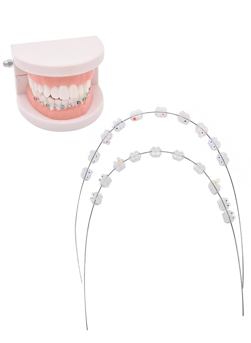 هالونهي زينة مؤقتة للأسنان بأسلاك معدنية وقوس معدني وربطات تقويم الأسنان، أدوات تدريب لطلاب طب الأسنان (أبيض) - Image 1