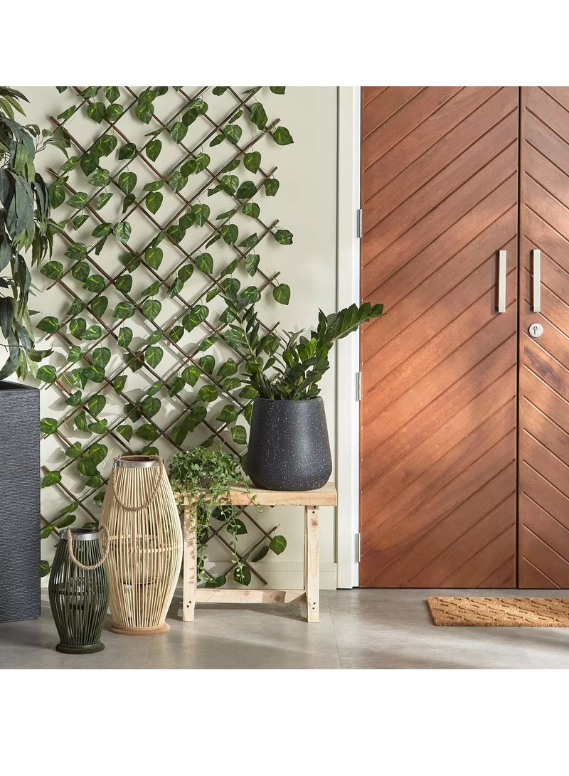 Home Centre Pothos Expandable Trellis - 100x200 cm - Image 2
