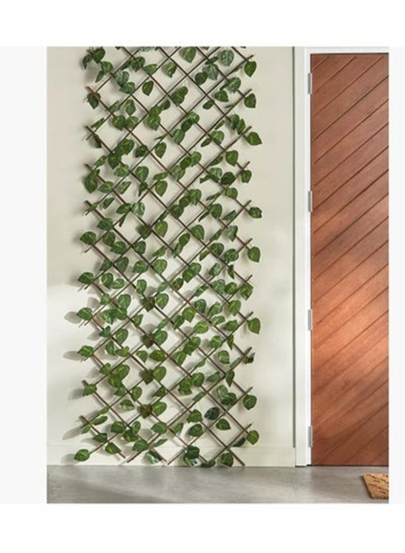 Home Centre Pothos Expandable Trellis - 100x200 cm - Image 1