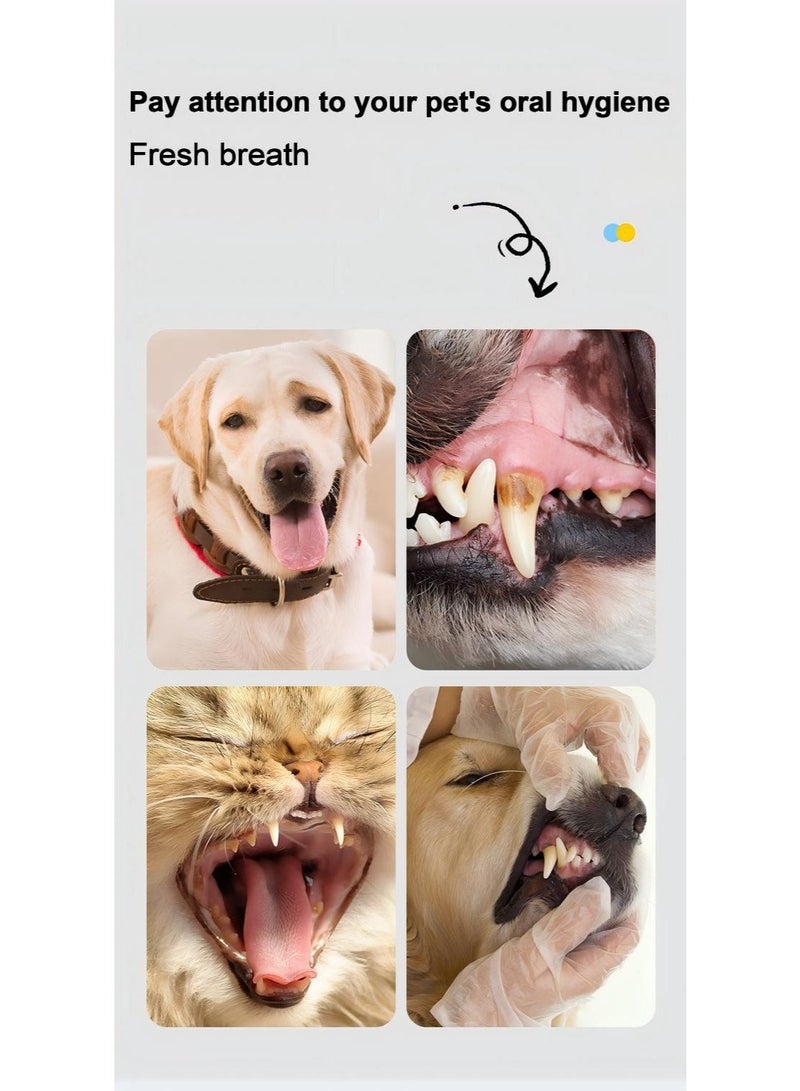 بابونا طقم تنظيف أسنان احترافي مكون من 3 قطع، يشمل فرشاة أسنان ومعجون أسنان، بالإضافة إلى فرشاة أصابع إضافية للعناية بأسنان الحيوانات الأليفة. - Image 4