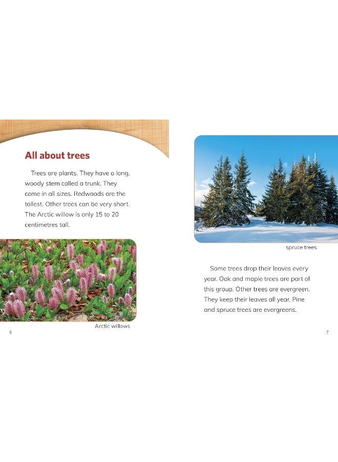 Why Do We Need Trees?  - Image 3