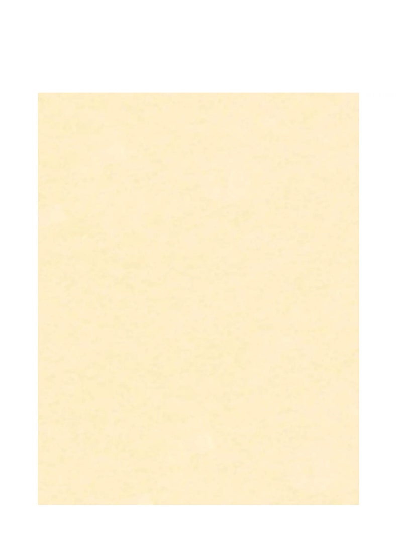 Terabyte 250 Sheets Cream/Vellum Laid A4 100gsm Textured Paper - Image 2