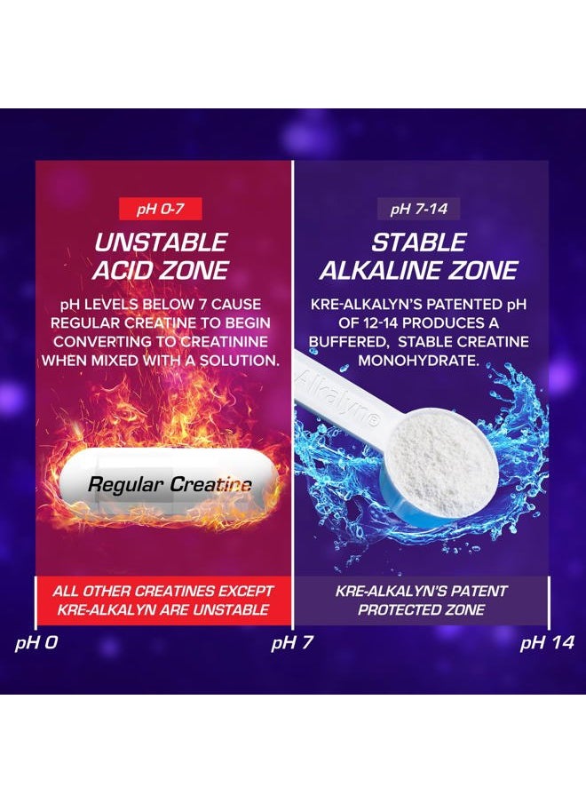EFX SPORTS Kre-Alkalyn EFX Powder | pH Correct Creatine Monohydrate Powder Supplement | Strength, Muscle Growth & Performance | 110 Servings (Rainbow Blast)  - Image 5