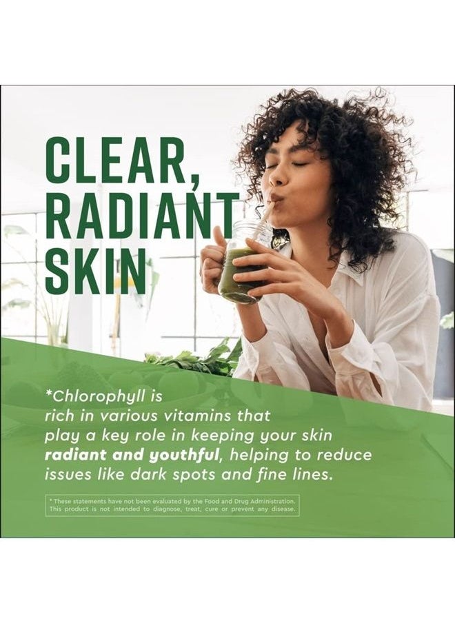 360 Nutrition - Chlorophyll Liquid Drops with Peppermint Oil, Gluten Free & Vegan Body Internal Deodorant Supplement, Supports Gut Health, Digestion, Energy, Radiant Skin, Fast Absorption, 60 Servings - Image 1