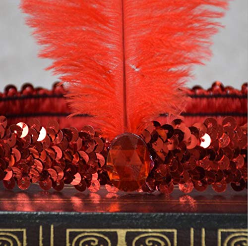 luckygift Sequins Feather Headpiece 1920s Carnival Party Accessory Party Feather Headband 10pcs (Colorful) - Image 5