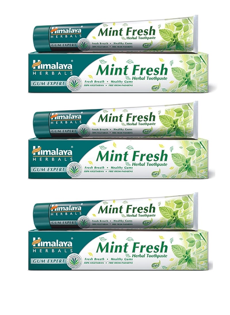 Himalaya 3 pieces of Mint Fresh Herbal Toothpaste 100 ml 