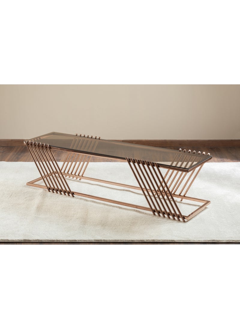 Smart Furniture Sleek and Stylish TV Unit with Storage 160L x 45H x 40W 
