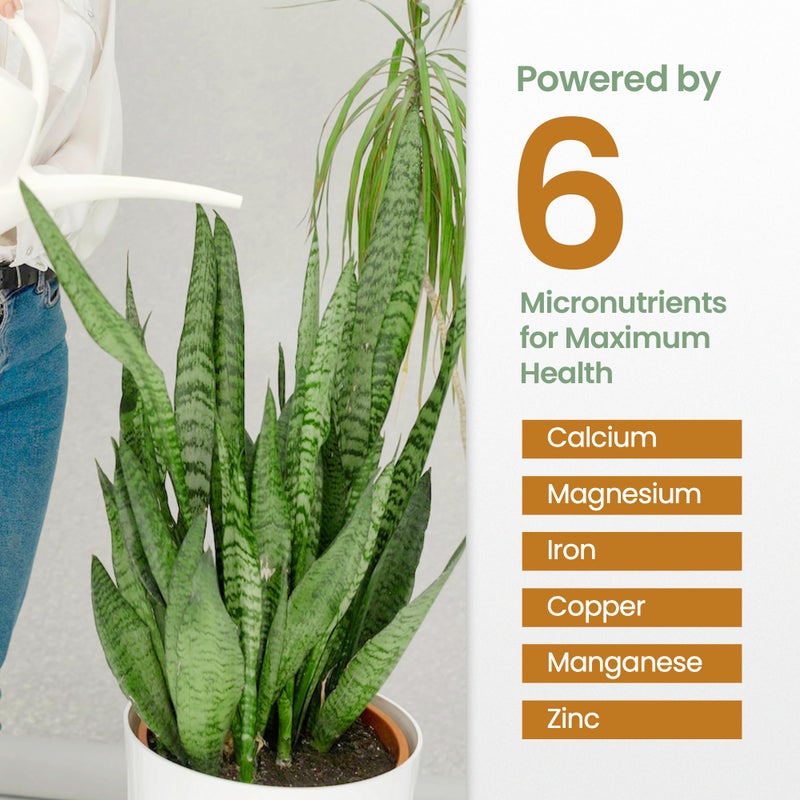 HiThrive 16oz Snake Plant Fertilizer for Snake Plant Live - Makes 96 Gallons of Fertilizer for Indoor Plants, Ideal for Healthy Growth, Strong Leaves, and Vibrant Color - Rich in Macro & Micronutrients - Image 4