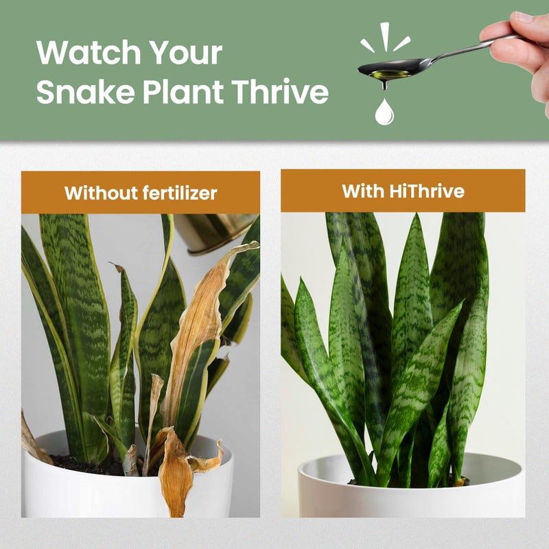 HiThrive 16oz Snake Plant Fertilizer for Snake Plant Live - Makes 96 Gallons of Fertilizer for Indoor Plants, Ideal for Healthy Growth, Strong Leaves, and Vibrant Color - Rich in Macro & Micronutrients - Image 3