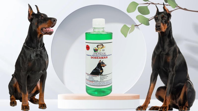 Swacch Shampoo Specially Formulated for Doberman (500ml) Neem Alovera - Image 2