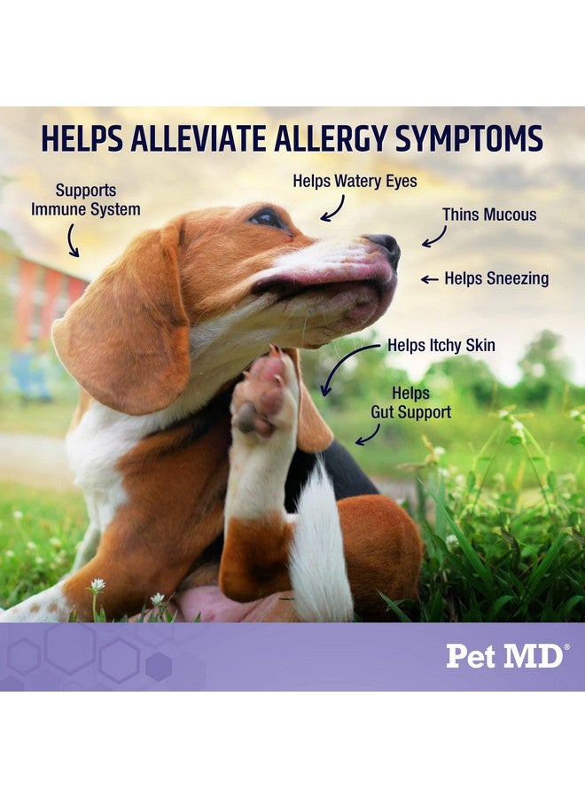 Pet MD Allergy Aid - Puppy & Dog Allergy Chews with Quercetin & Pumpkin - Immune & Seasonal Allergy Relief for Dogs - Skin & Itch Relief for Dogs - 60 ct - Image 3