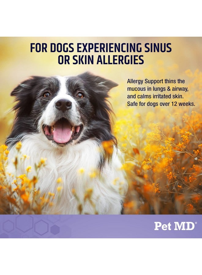 Pet MD Allergy Aid - Puppy & Dog Allergy Chews with Quercetin & Pumpkin - Immune & Seasonal Allergy Relief for Dogs - Skin & Itch Relief for Dogs - 60 ct - Image 2