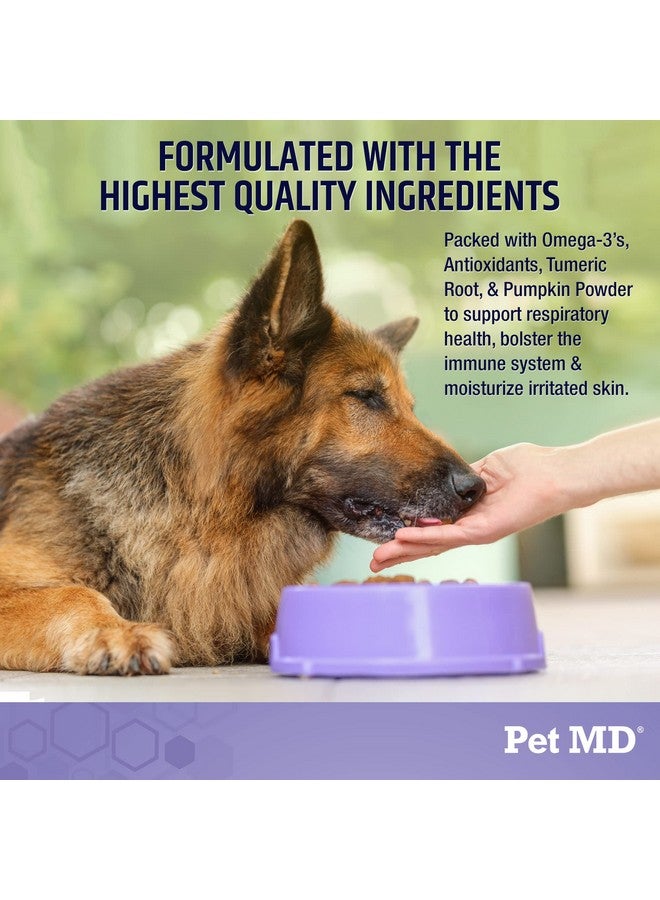 Pet MD Allergy Aid - Puppy & Dog Allergy Chews with Quercetin & Pumpkin - Immune & Seasonal Allergy Relief for Dogs - Skin & Itch Relief for Dogs - 60 ct - Image 4