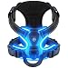 Villabliss Light Up Dog Harness Rechargeable for Night Walking - Image 1