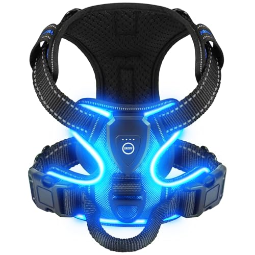 Villabliss Light Up Dog Harness Rechargeable for Night Walking - Image 2