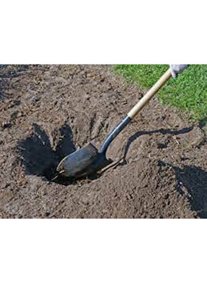 ABBASALI HAND SHOVEL HEAVY DUTY BRAZIL  - Image 2