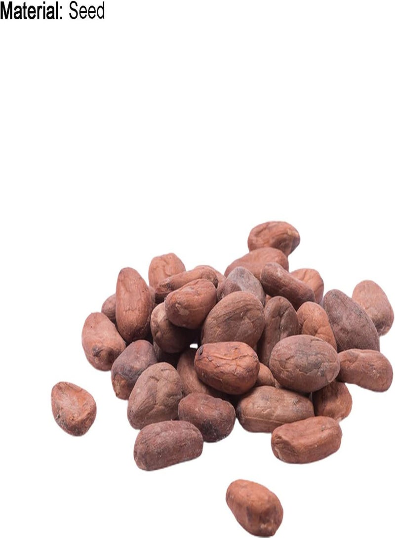 جي جوت بذور نباتية 20 قطعة/كيس بذور نباتية جميلة عالية الإنبات بذور ثيوبروما كاكاو طبيعية للحديقة - بذور - Image 5