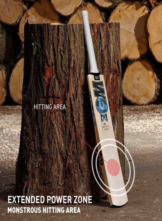 GM Diamond 101 Kashmir Willow Cricket Bat For Mens, Size - Mens - Image 3